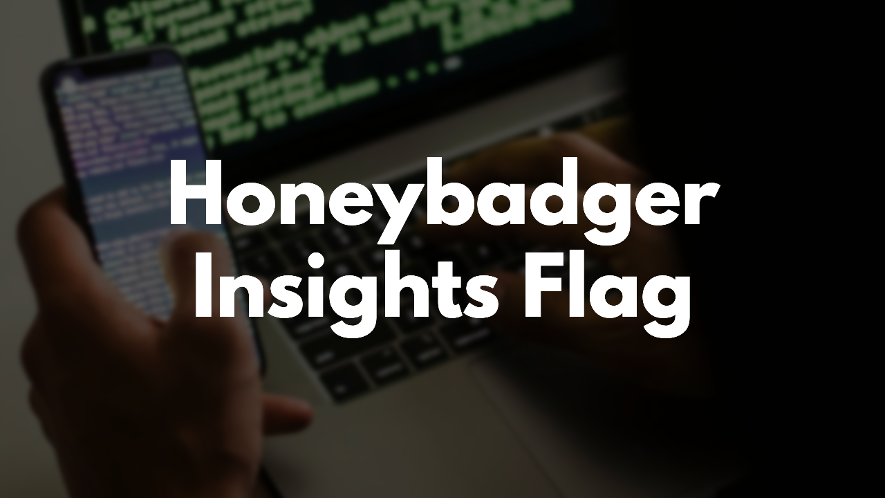 Adding Honeybadger Insights To The RubyGem thumbnail image